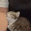 Стикер lovely♡