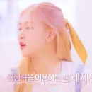 Стикер rose bp