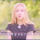 Стикер ROSE