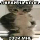 Стикер ромка