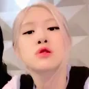 Стикер rose blackpink 1