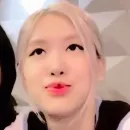 Стикер rose blackpink 1
