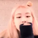 Стикер rose
