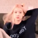 Стикер rose