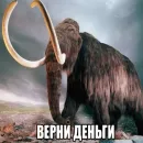 Стикер Мамонты