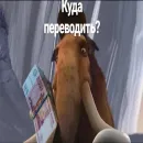 Стикер Мамонты