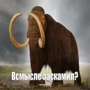Стикер Мамонты