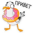 Чайка Сэм
