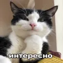 Стикер seals 2