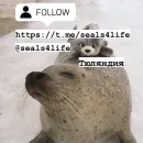 seals4life
