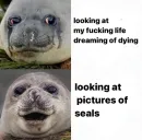 Стикер seals4life