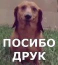 Стикер Больше стиков тут: