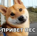 Стикер Больше стиков тут: