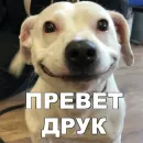 Стикер Больше стиков тут: