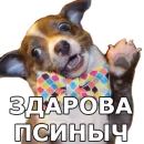 Стикер Больше стиков тут: