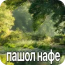 Стикер Больше стиков тут: