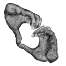 Стикер Секс Гид