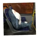 Стикер shark