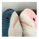 Стикер shark