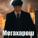 Стикер shelbyharosh