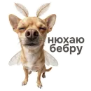 Стикер shenok_motylek