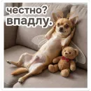 Стикер shenok_motylek