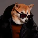 Стикер Shibes