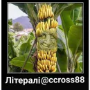 Стикер Шизослав Дрєвоштаб