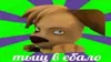 Стикер shit memes