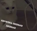 Стикер shiziky
