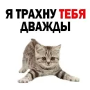 shlrona