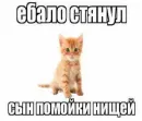 Стикер shlrona