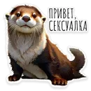 ВЫДРОЧАТик