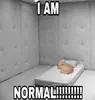 Стикер глупые коты