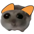 Симба Хомяки