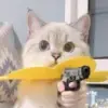 si meo