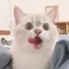 Стикер si meo