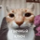 хуета с пинтереста