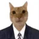 Стикер мемные животные