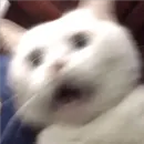 на все случаи жизни