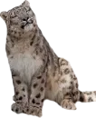 Стикер Snep Lep Blep