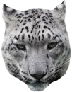 Стикер Snep Lep Blep