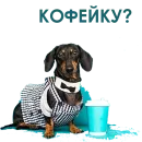Собака Правдоруб
