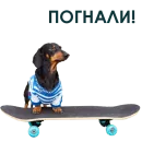 Стикер Собака Правдоруб