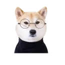 Стикер Собака прогрызла Телеграм