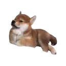 Стикер Собака прогрызла Телеграм