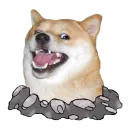 Стикер Собака прогрызла Телеграм