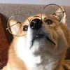 Стикер sobakens