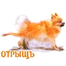 Стикер Puppy