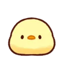 Soft and Cute Chicks Feelings